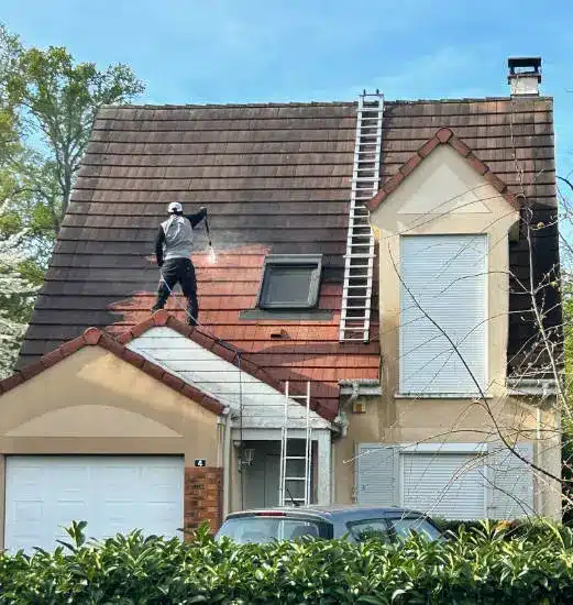 Gros plan sur des mousses présentent sur une toiture.